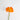 Sleep & Peace - Poppies