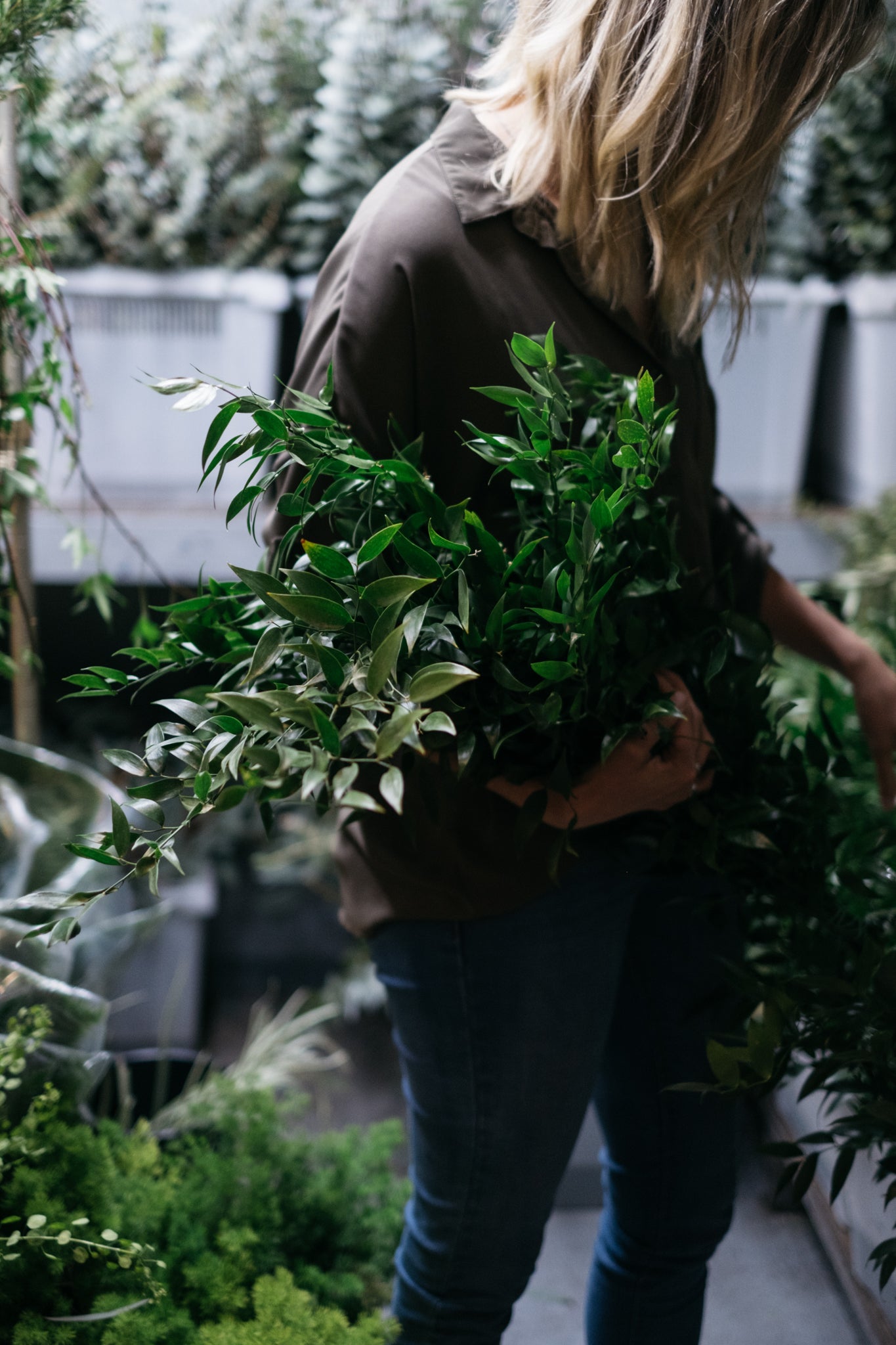 Classic & Traditional - Ruscus – Amelia's Flowers